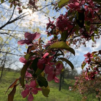Heritage Park - Parks Near Me - Farmington Hills, Michigan