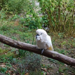 Tierpark Herborn