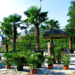 Garten-Welten Niederbeckmann