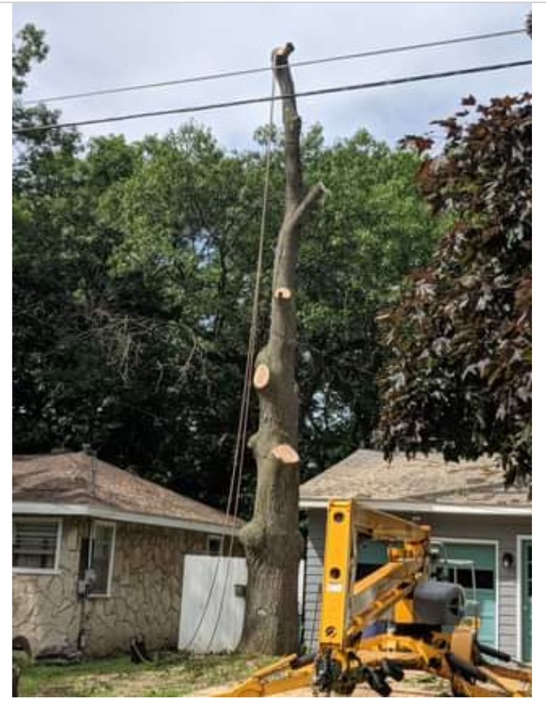 Changing Times Outdoor Services - tree service in Gowen, MI
