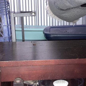 West Salem Storage - More rat poop - Self Storage Near Me - Salem, Oregon