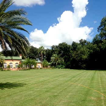 Earth-Tech Property Solutions - a palm tree in the foreground - Landscaping Near Me - Plant City, Florida Earth-Tech Property Solutions - a palm tree in the foreground - Landscaping Near Me - Plant City, Florida