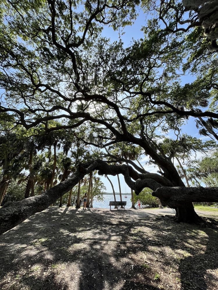 Abercrombie Park Image