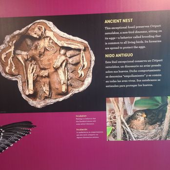 Caracol Museo de Ciencias - Museums Near Me - Ensenada, BCN