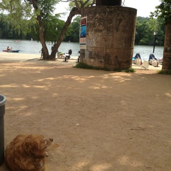 Texas Rowing Center - the wise dog who just lounges around and greets you before you set sail! - Boating Near Me - Austin, Texas