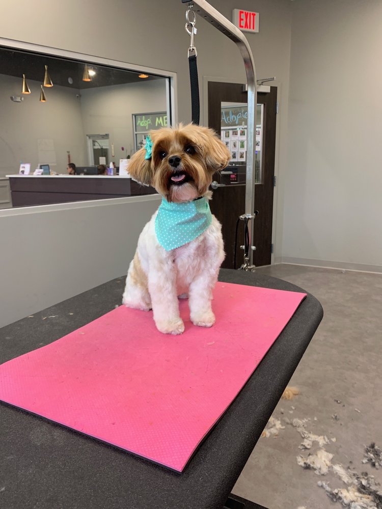 PET PALACE SOUTH CHARLOTTE Updated May 2024 19 Photos & 22
