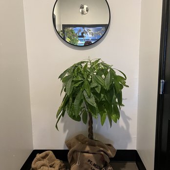Jesse's Grind Coffee Bar - The entrance to the bathroom - Coffee & Tea Near Me - Winnetka, California Jesse's Grind Coffee Bar - The entrance to the bathroom - Coffee & Tea Near Me - Winnetka, California