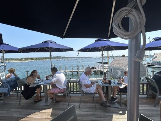 The Seafood Shanty by null