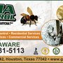 Photo of Gotcha Pest Control