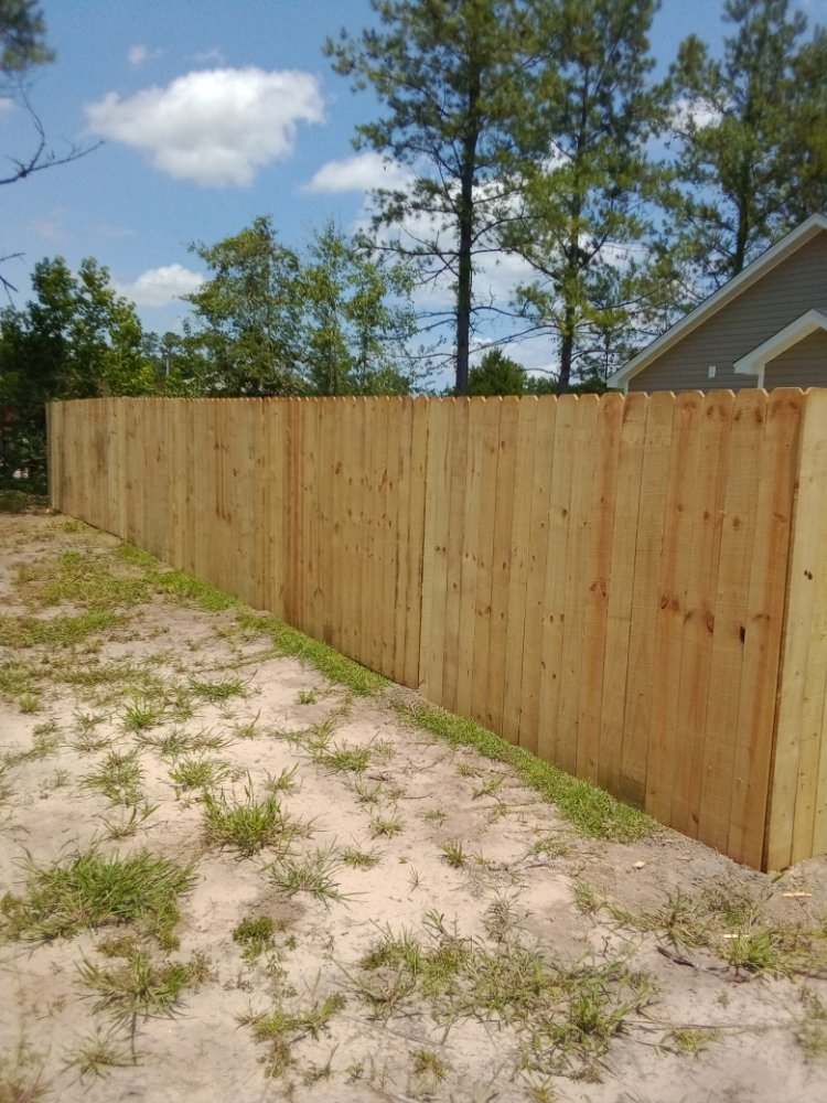 Slide of TC Remodeling