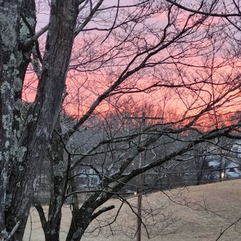 PAWright Pet Services - Sunrise - Pet Sitting Near Me - Soddy-Daisy, Tennessee PAWright Pet Services - Sunrise - Pet Sitting Near Me - Soddy-Daisy, Tennessee
