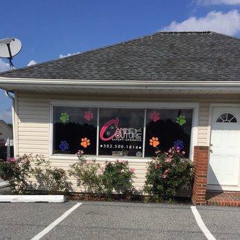 Canine Couture Expert Grooming - Pet Groomers Near Me - Milford, Delaware
