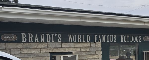 Brandi's World Famous Hot Dogs by null
