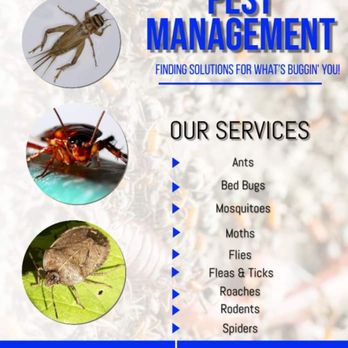 Lone Star Pest Management - Pest Control Near Me Lone Star Pest Management - Pest Control Near Me