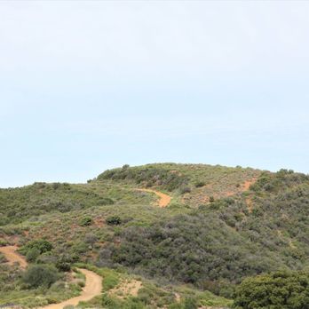 Topanga State Park - Parks Near Me - Los Angeles, California Topanga State Park - Parks Near Me - Los Angeles, California