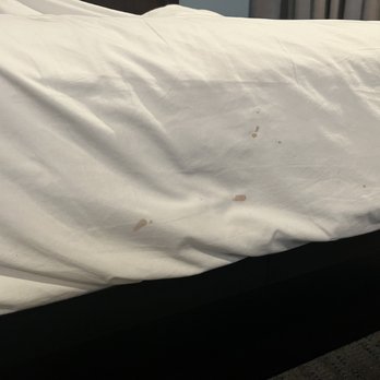 Park Vue Inn - Stains upon arrival on bedspread. - Hotels Near Me - Anaheim, California