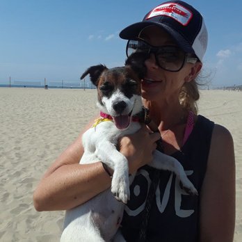 Leader of Your Pack - Pet Training Near Me Leader of Your Pack - Pet Training Near Me