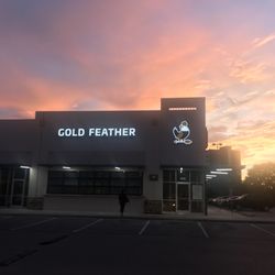 Gold Feather - Gold Feather Coming soon!