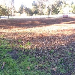 Pano of Branciforte dog park.
