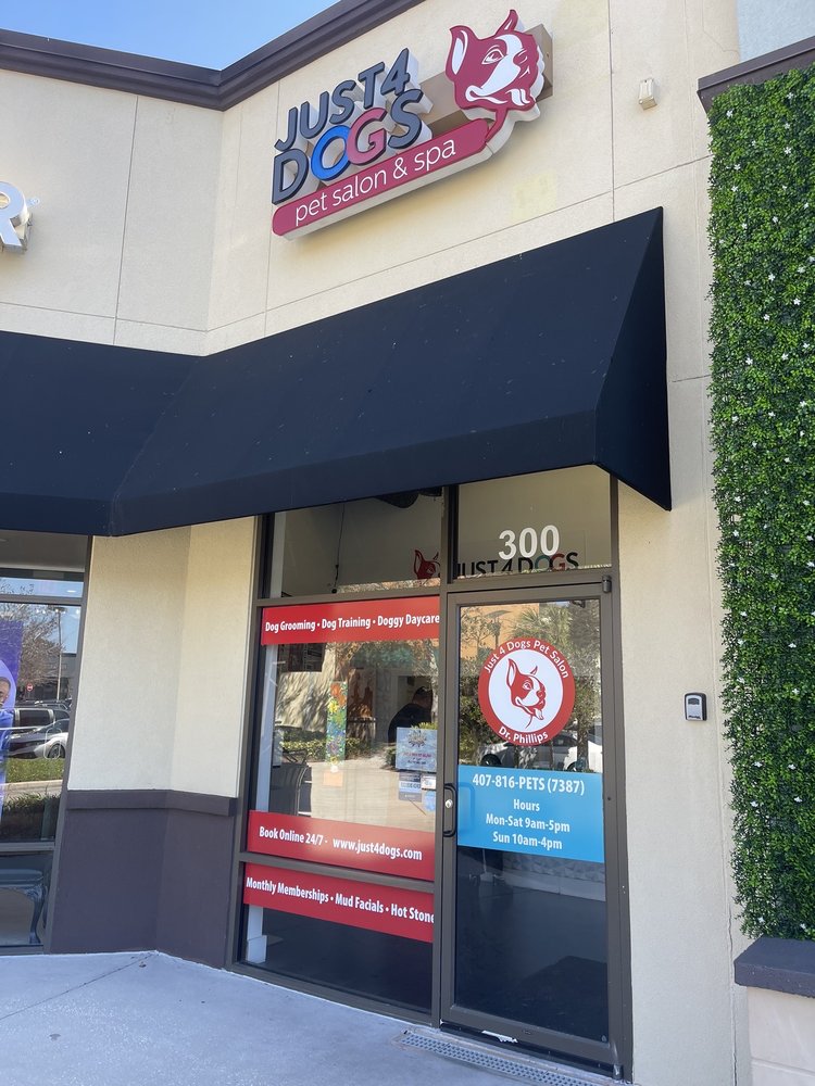 JUST 4 DOGS 300, Avon Park, FL Yelp