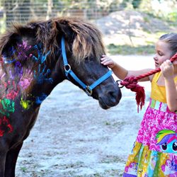 Little Hands Ranch - Little Hands Ranch did an amazing job helping us make our little girls "My Little Pony" theme a hit! She had such an amazing time!