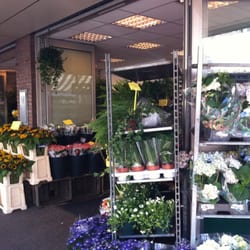 Lansuplant