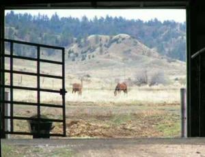 Equine Motel - equestrian in Billings, MT