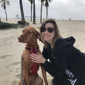 Rosie's Dog Beach - Dog Parks Near Me - Long Beach, California Rosie's Dog Beach - Dog Parks Near Me - Long Beach, California