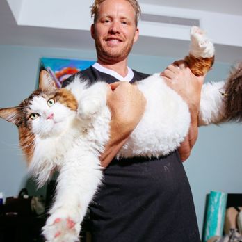 Healthy Pets Boca North - Veterinarians Near Me - Boca Raton, Florida