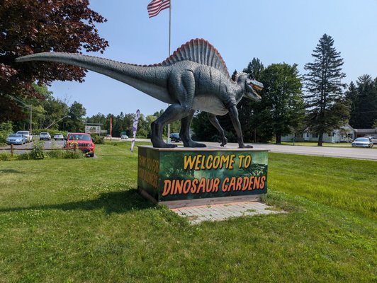 Dinosaur Gardens by null