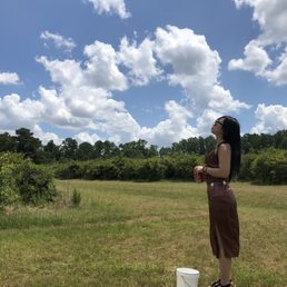 Beautiful sky's and scene! Beautiful sky's and scene!
