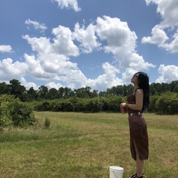 Moorhead's Blueberry Farm - Beautiful sky's and scene! - Pick Your Own Farms Near Me - Conroe, Texas Moorhead's Blueberry Farm - Beautiful sky's and scene! - Pick Your Own Farms Near Me - Conroe, Texas