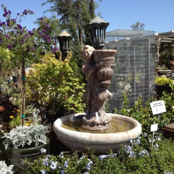 Elegant Garden Nursery 29 Reviews Nurseries Gardening 2046 - Elegant Gardens Nursery Moorpark Ca 93021 Elegant Garden Nursery 29 Reviews Nurseries Gardening 2046 - Elegant Gardens Nursery Moorpark Ca 93021