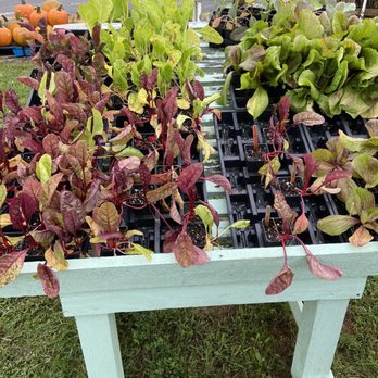 Cane Creek Farm - Fall starts! - Farmers Market Near Me - Fletcher, North Carolina