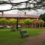 Photo of Norwood Oval