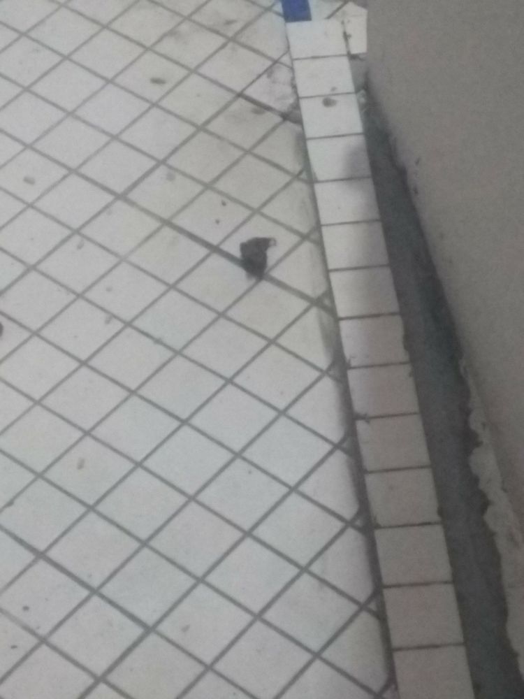 Slide of Proper Function Plumbing