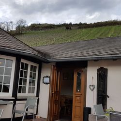 Gutsschänke Ottes - Eingang, oben die Weinberge