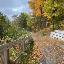 Grand Ravines North County Park - Along the path