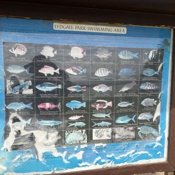Lydgate Beach Park - Fish map - Parks Near Me - Kapaa, Hawaii