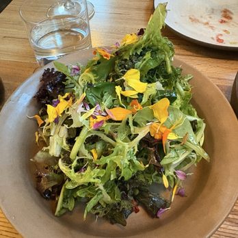 Stella - Simple mixed green salad - Italian Near Me - Kenwood, California Stella - Simple mixed green salad - Italian Near Me - Kenwood, California