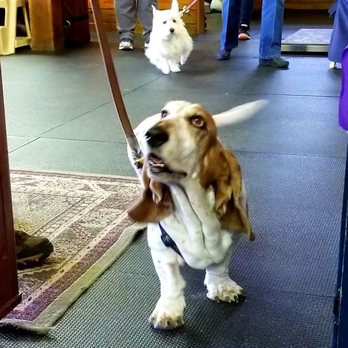Always Helpful Veterinary Services - Happy customers! - Holistic Animal Care Near Me - Nottingham, Pennsylvania