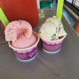 Vanilla Chip