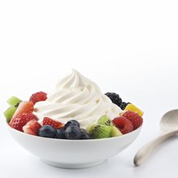 Frozen Yogurt Frozen Yogurt