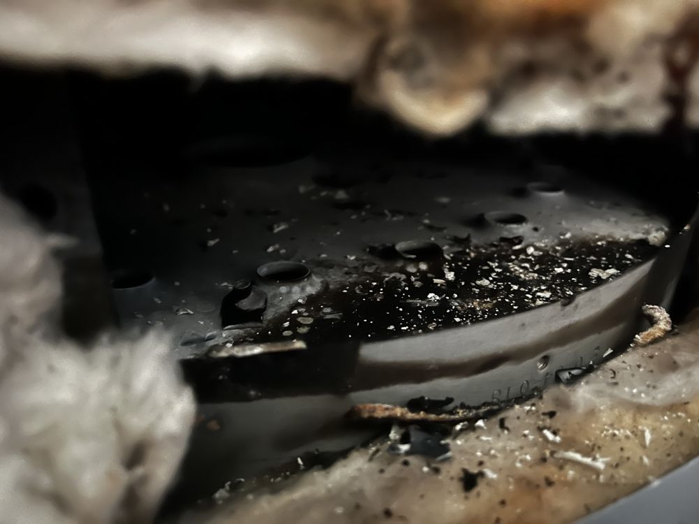 Slide of Hazel Plumbing