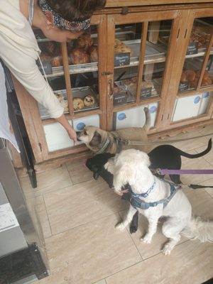 Bijou Bakery by null