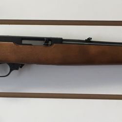 Bird Road Jewelers Gun & Pawn - NIB Ruger 10/22 RBI International