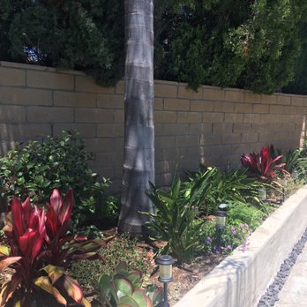 Moon Valley Nurseries - More right side planter plants - Tree Services Near Me - Irvine, California Moon Valley Nurseries - More right side planter plants - Tree Services Near Me - Irvine, California