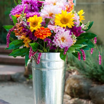 Hidden Villa - Lanette wedding flowers. - Community Service/Non-Profit Near Me - Los Altos Hills, California Hidden Villa - Lanette wedding flowers. - Community Service/Non-Profit Near Me - Los Altos Hills, California