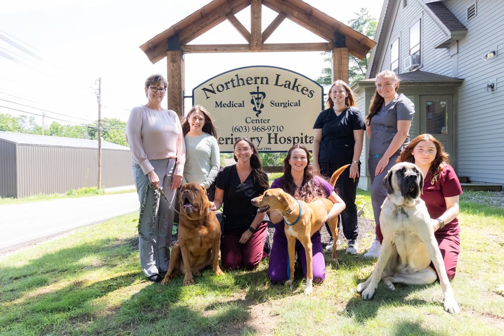 NORTHERN LAKES VETERINARY HOSPITAL Updated August 2024 83 Depot St