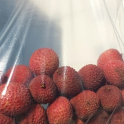 Fresh picked Lychee's!